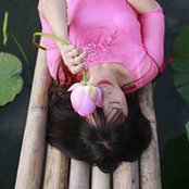 Nhung Tuyet's photo
