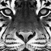 Tj Barr's photo