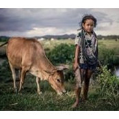 ရန္ စိုး's photo