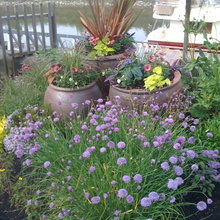 flower garden