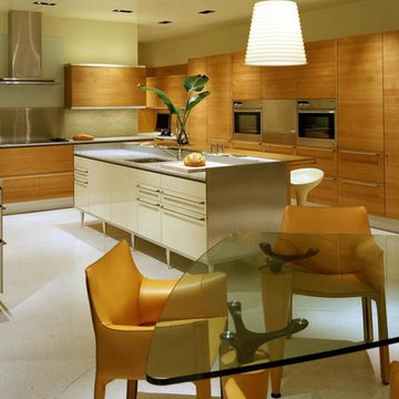 Modern kitchen cabinets Design Remodel