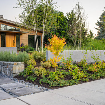 Lakeside Modern