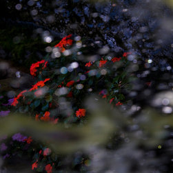 Fine Art Decor_Abstract - Artwork