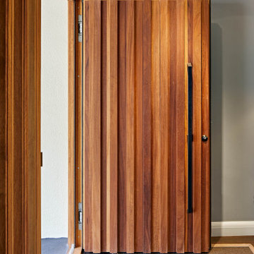 Ridge Front Door Design - Contemporary home
