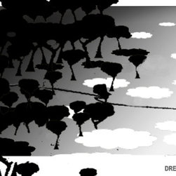 Graphic Art - Products