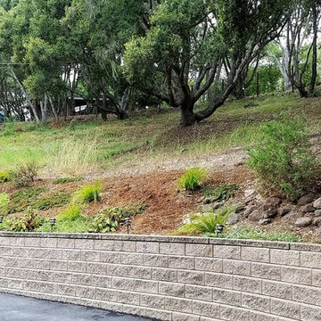 Aptos Hills Deer-Resistant and Drought-Tolerant