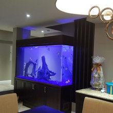 aquarium
