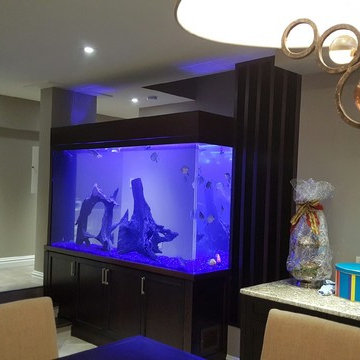 Stairs Fish Tank
