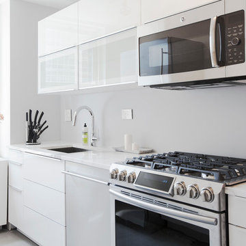 Ikea Kitchen w Porcelain Countertops