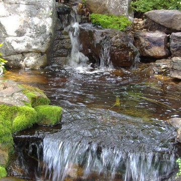 Pond/Waterfall