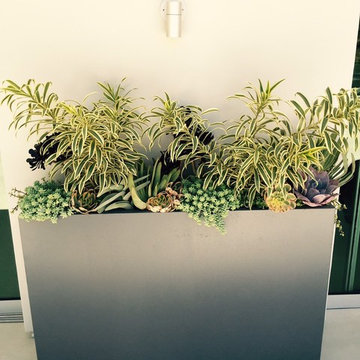 Studio City Backyard Remodel