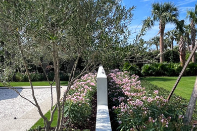 Photo of a large contemporary full sun front yard mulch landscaping in Jacksonville.