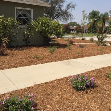 Another Burbank Success!