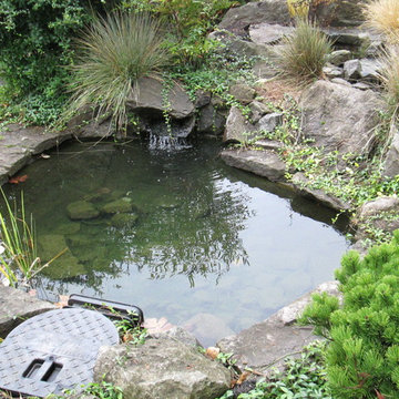 Ponds and Water Features