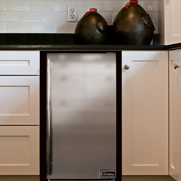 Designer Series Automatic Ice Maker