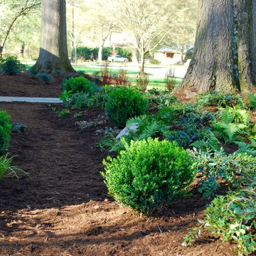 Madison Park Project