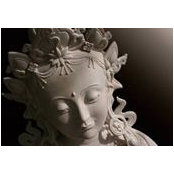 Renee Hawkins's photo