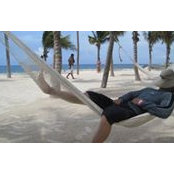 Henry Nguyen's photo
