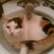Michelle Doyle's photo