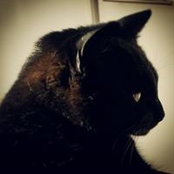 Emma Broughton's photo