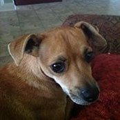 Susan Simoneaux's photo