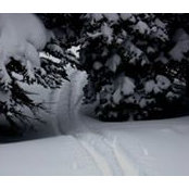 Andrew Caffrey's photo