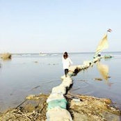 Menan Samy's photo