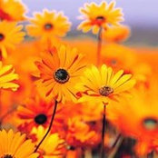 Lynn Gennero's photo