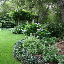 back garden border
