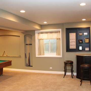 Lake Zurich Basement