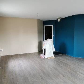 Rénovation salon/séjour