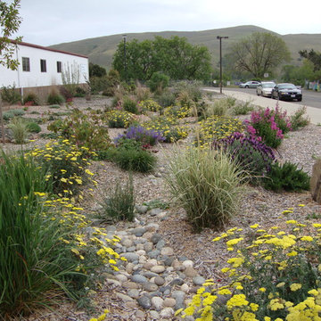 Natural Drainage