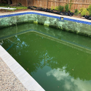 Green pool clean up