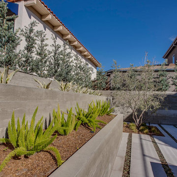 Manhattan Beach landscape architecture project