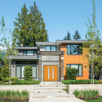 Masonite® Modern Exterior Doors