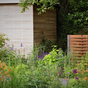 Contemporary garden with swimming pool