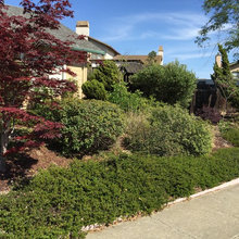 Southpoint Garden