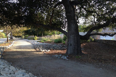 Photo of a large mediterranean drought-tolerant and partial sun front yard mulch garden path in Los Angeles for spring.
