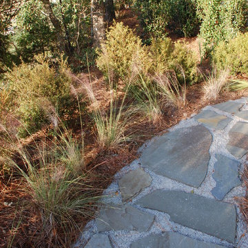 Kiawah Coastal Garden