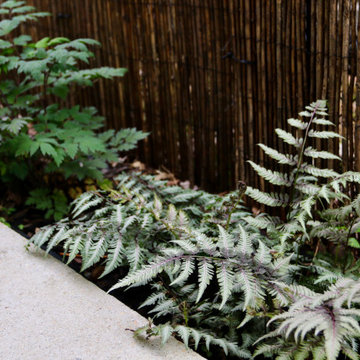 Colorful front yard, dog friendly backyard.