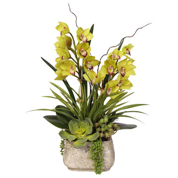 Alluring Green Real Touch Cymbidium Orchid & Succulents in a Textured Cement Pot