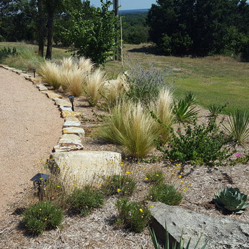 Front yard xeriscape