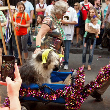 Mardi Gras