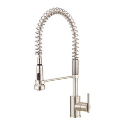 Danze Parma&trade; Single Handle Pre-Rinse Kitchen Faucet - Kitchen Faucets