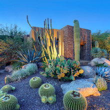 Front Yard Landscape