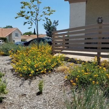 Irvine Front Yard