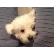 Debbie Maher's photo