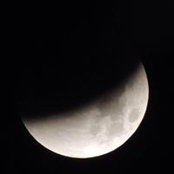 Mandy Edwards's photo