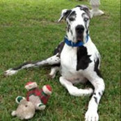 Tish Johnson's photo