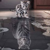 Albert B's photo